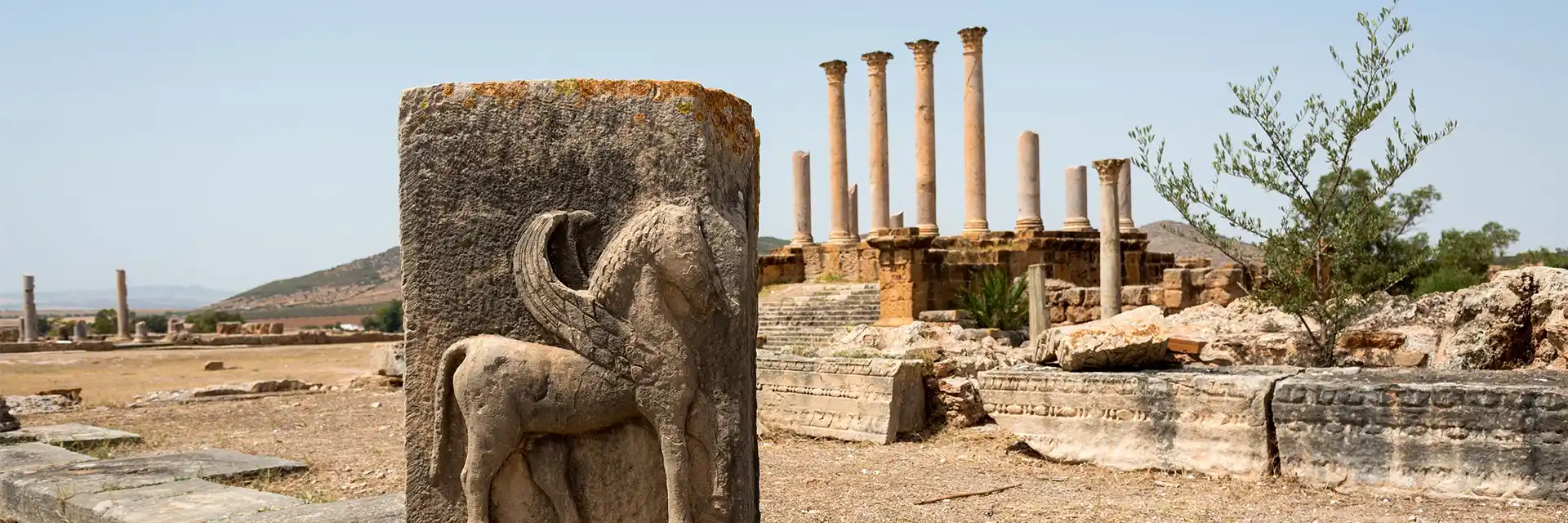Day 3 An Archaeological Tour of Tunisia