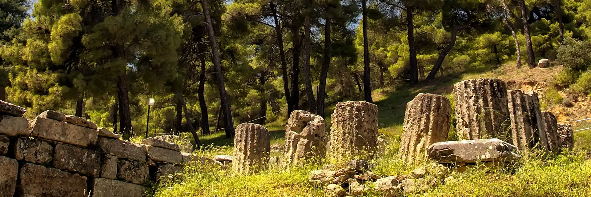 Day 6 Athens In Depth