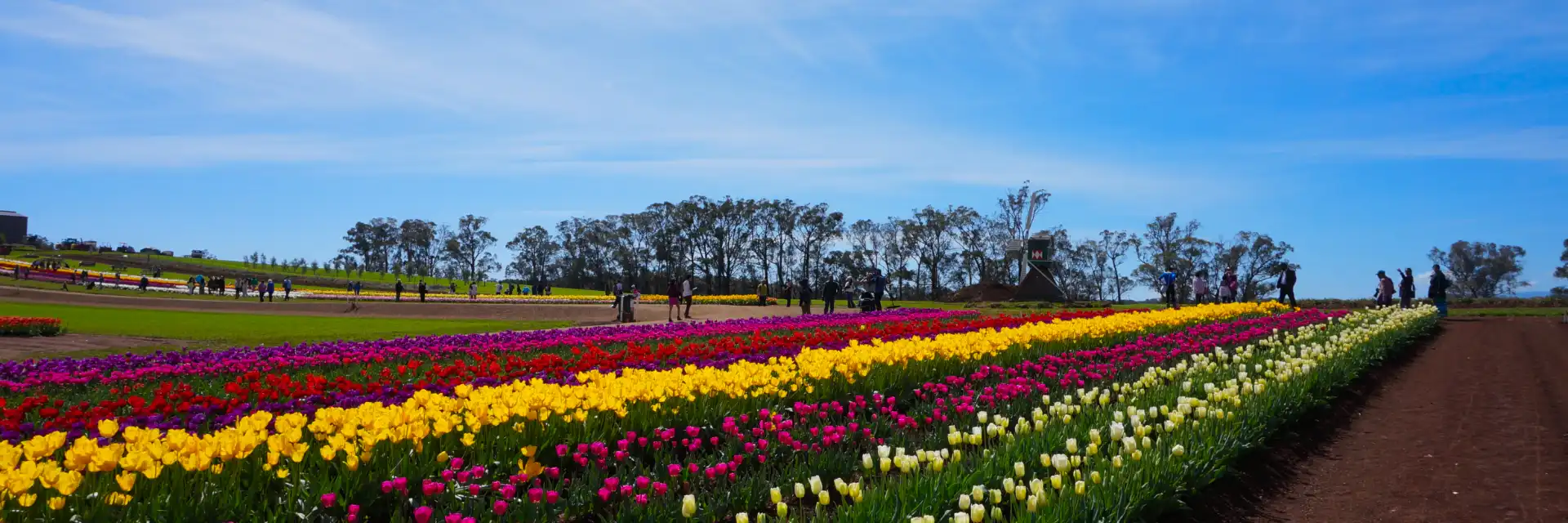 Day 5 Australia's Gardens in Bloom: Iconic Gardens & WAFA