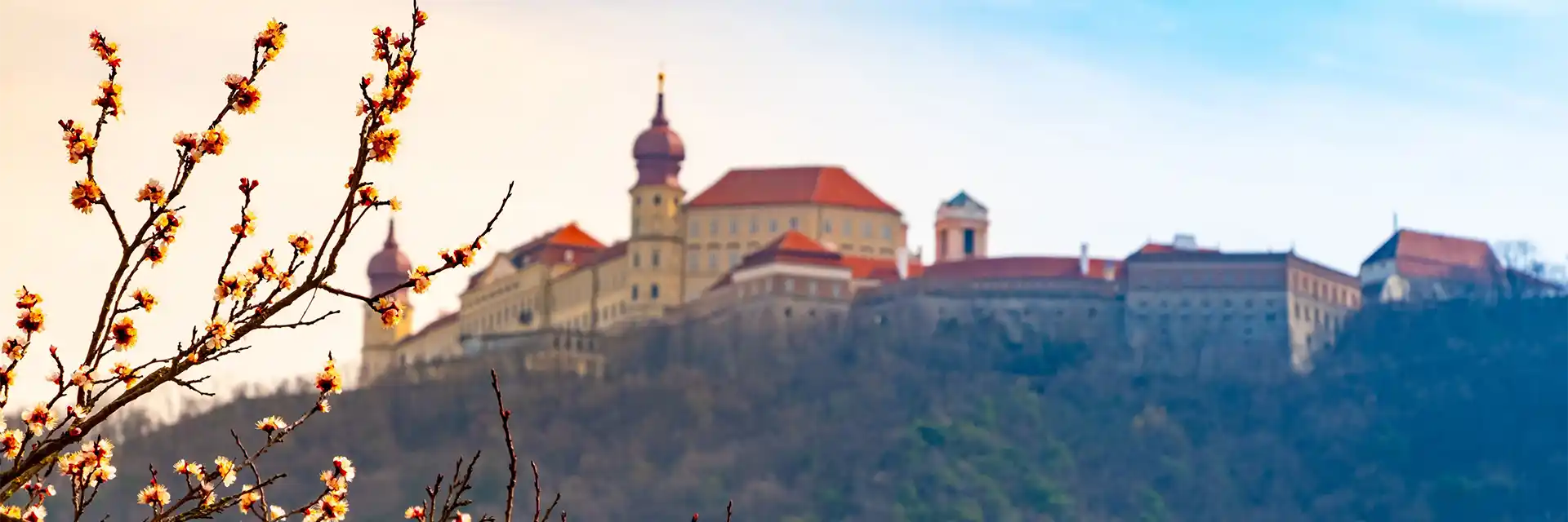 Austrian Palaces & the Apricot Blossoms
