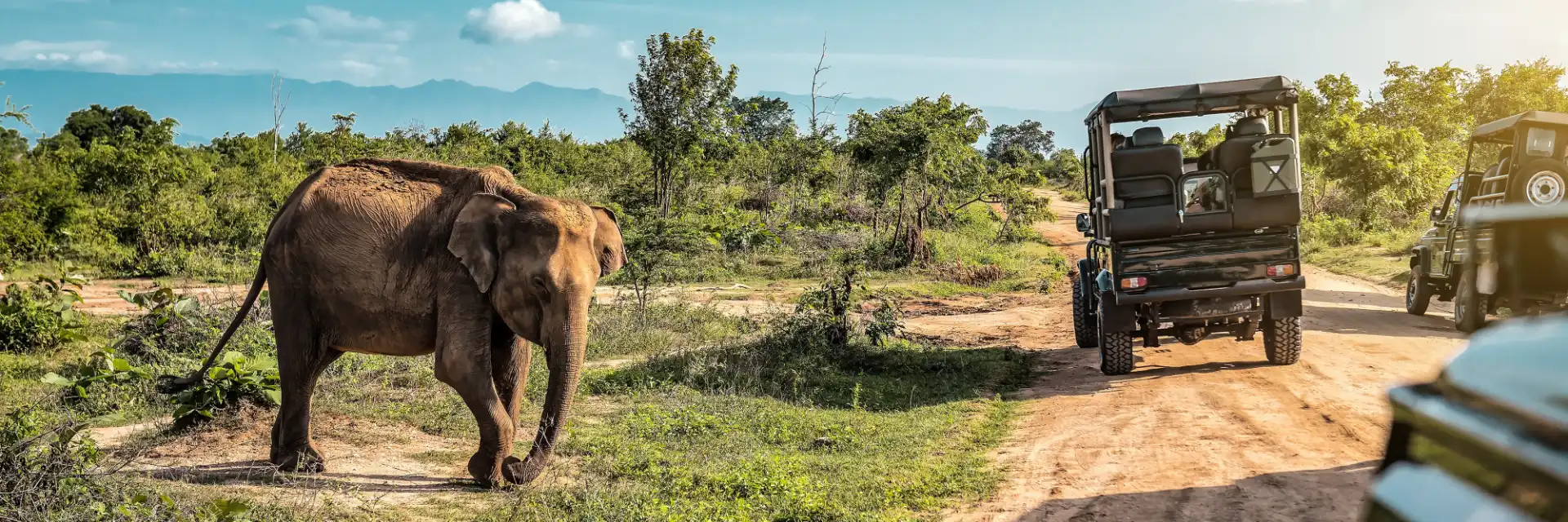 Day 9 Birdwatching & Wildlife Safaris in Tanzania