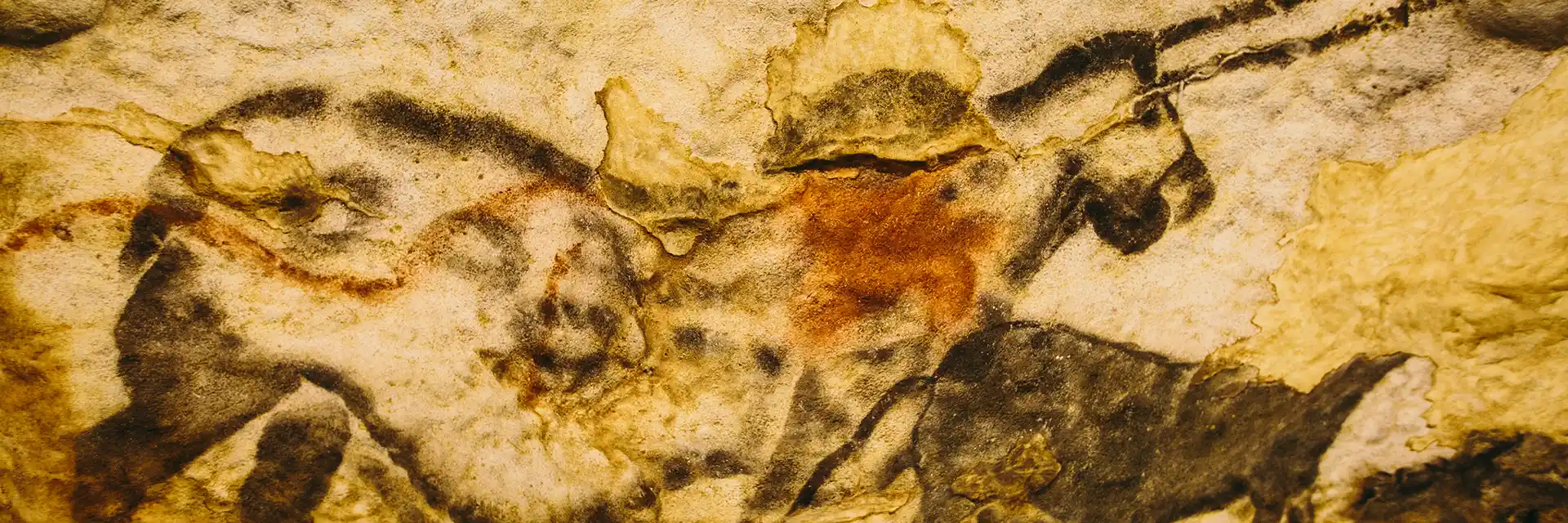 Day 4 Cave Art of The Dordogne
