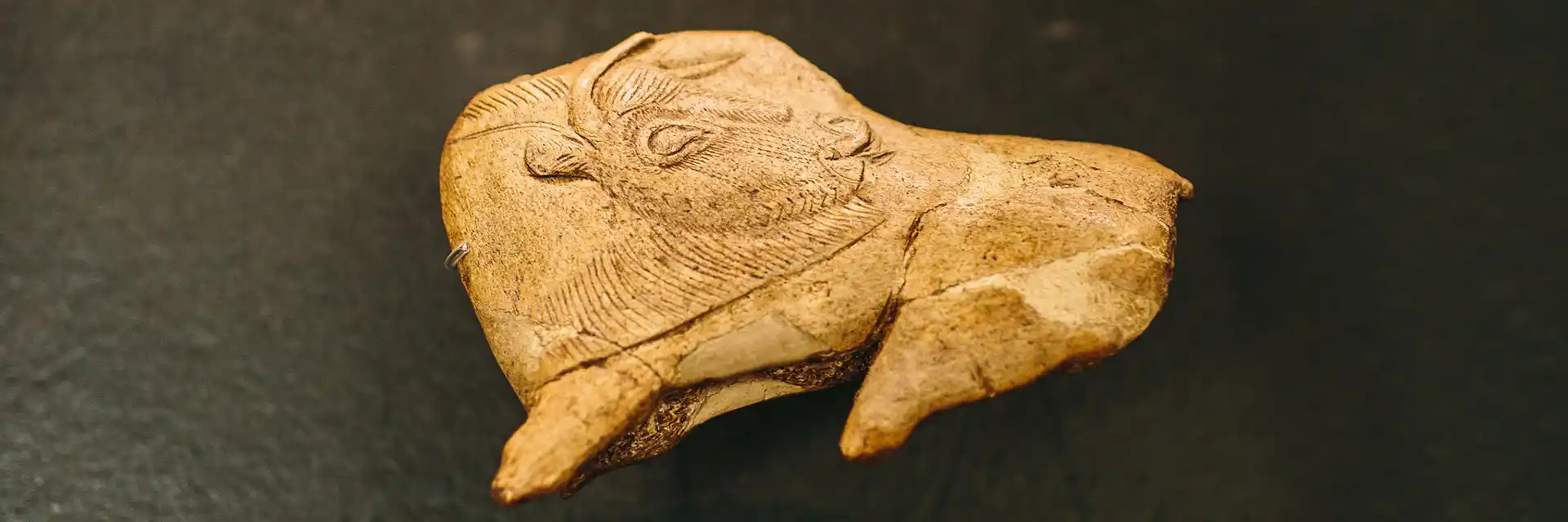 Cave Art of the Dordogne