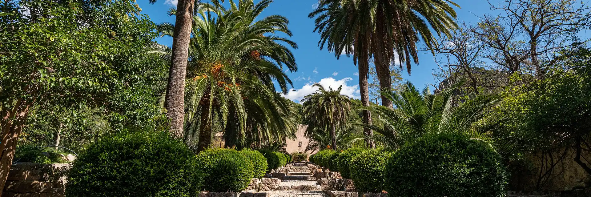 Day 2 Gardens & Architecture of Mallorca