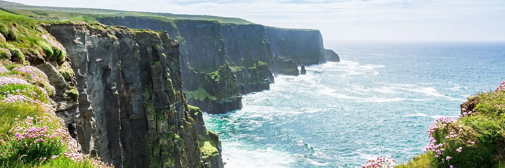 Gardens & Wildflowers of the Burren