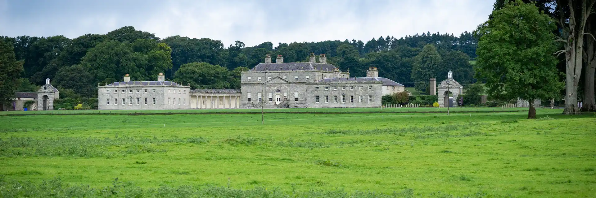 Day 4 Gardens of The Emerald Isle