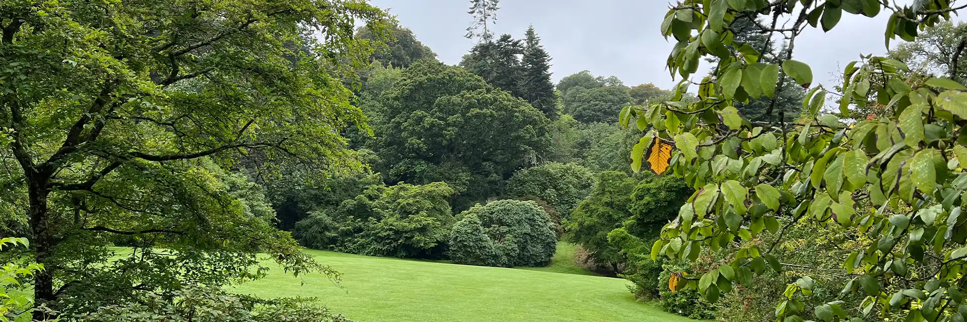 Day 6 Gardens of The Emerald Isle