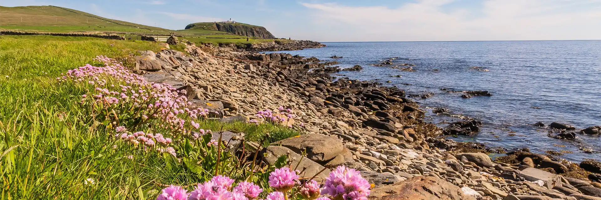Highlights of Orkney and Shetland