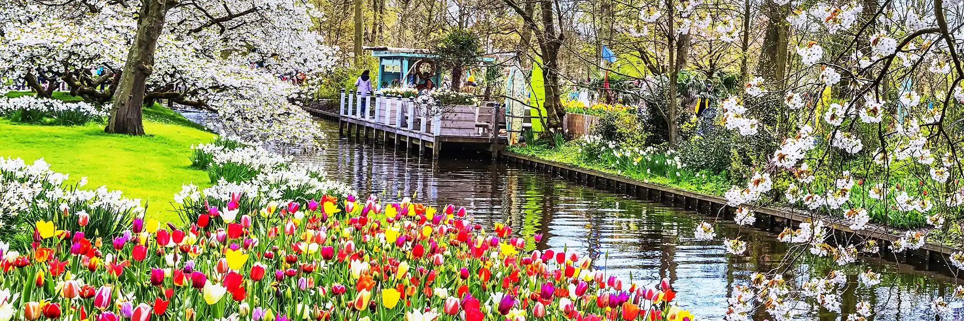 Day 2 Holland and the Tulips of Keukenhof