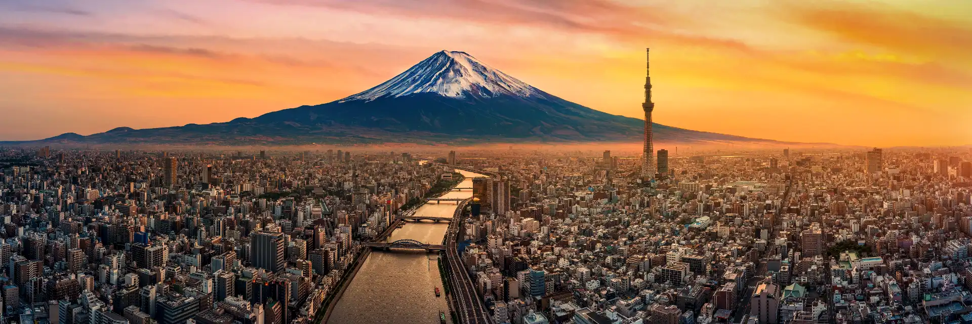 Day 12 Seasonal Gardens of Japan
