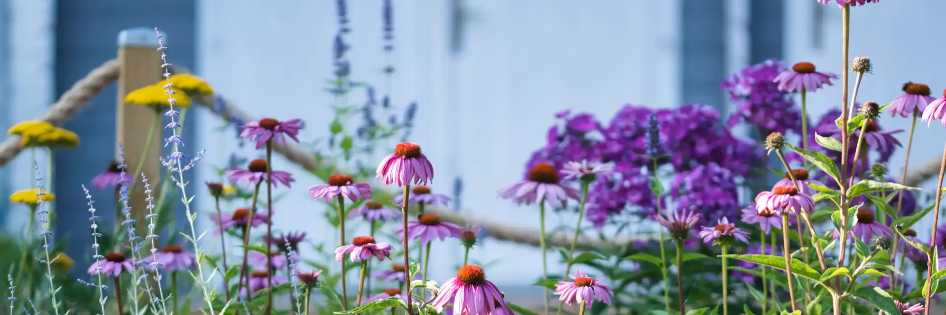RHS Malvern Flower Show & Gardens of Herefordshire