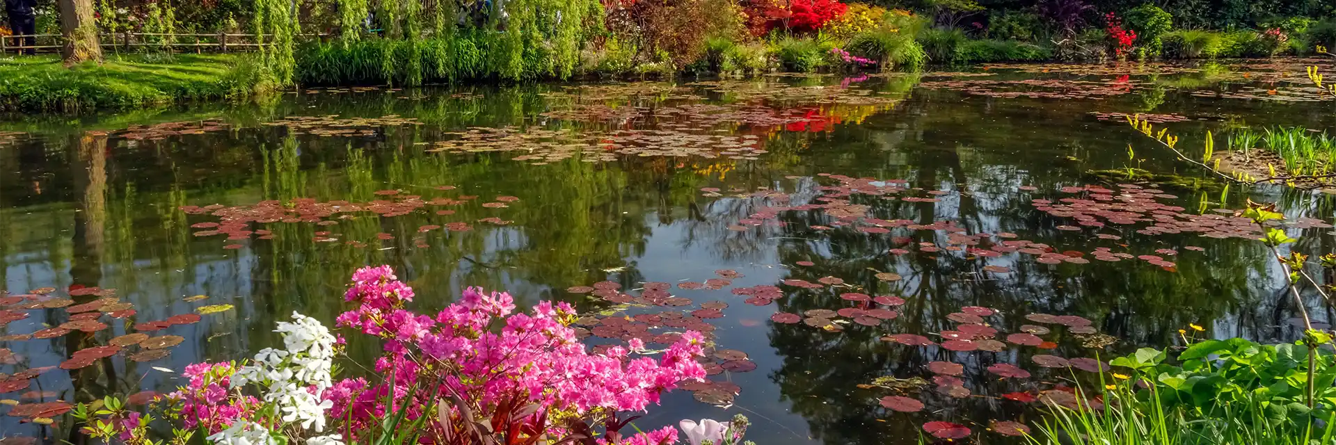 Day 5 Monet's Garden