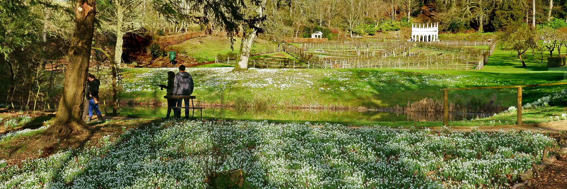 Day 4 Snowdrop Gardens of the Cotswolds
