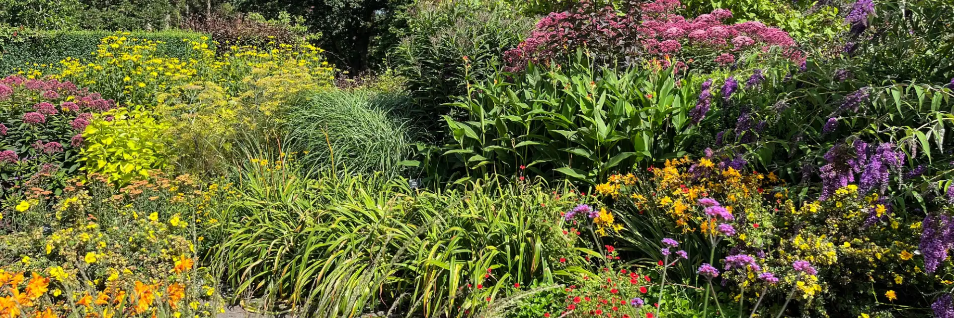 Day 3 RHS Rosemoor 