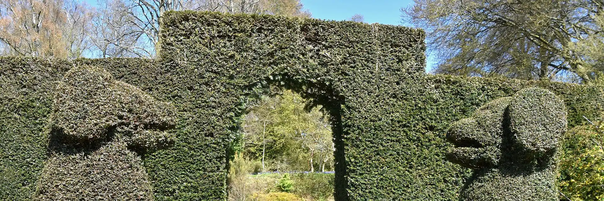 Day 1 Spring Gardens of Cornwall