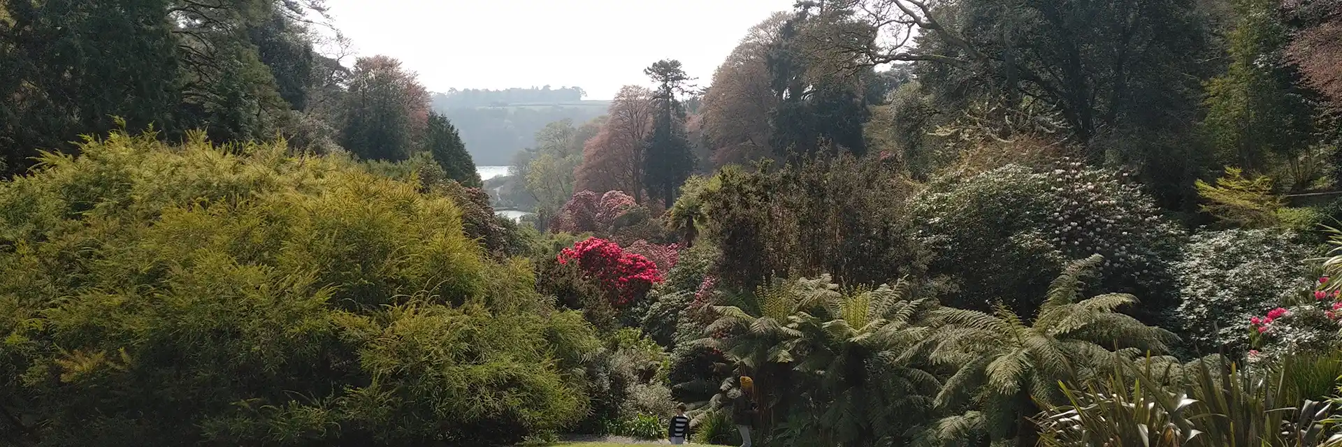 Day 3 Spring Gardens of Cornwall