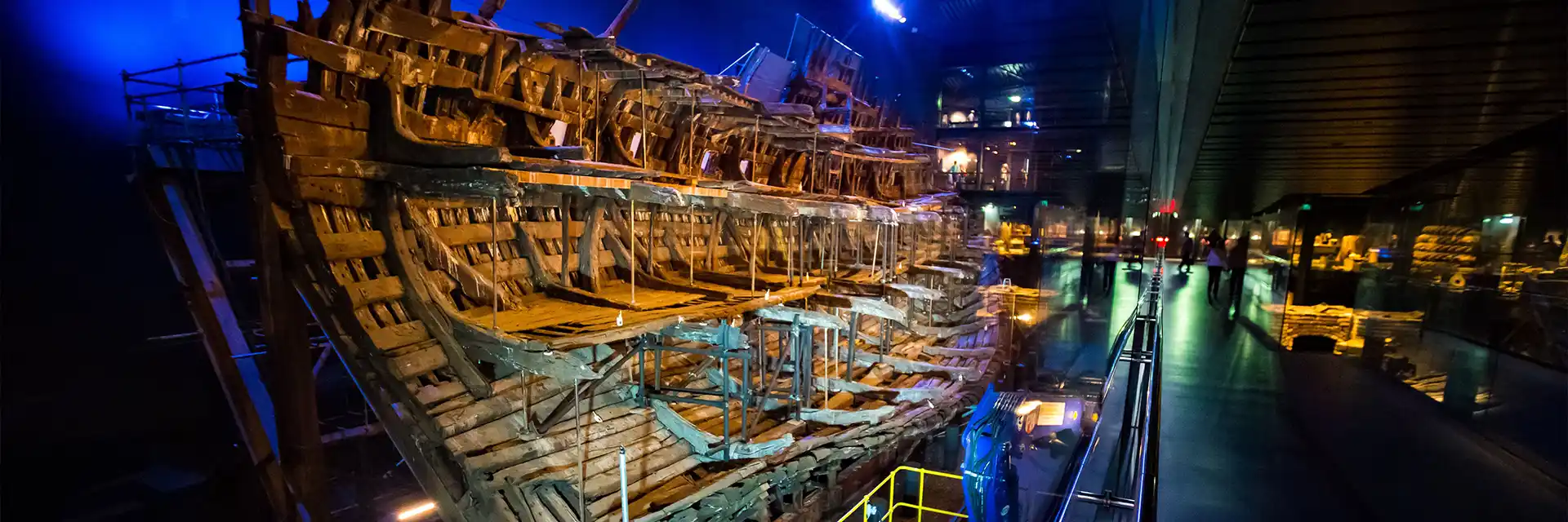 Day 2 The Mary Rose - A Tudor Tale