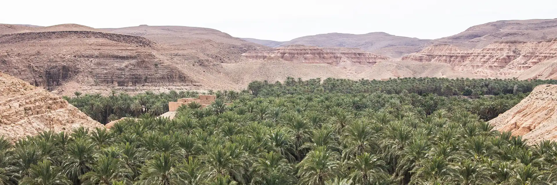 Day 10 Biskra