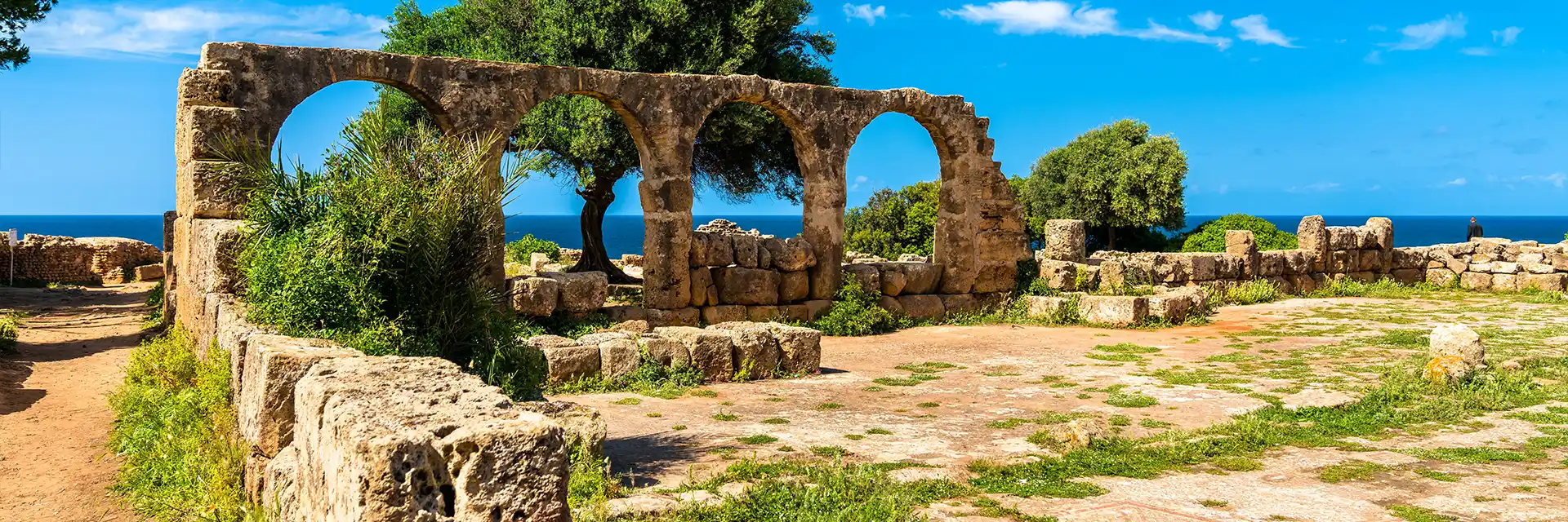 The Romans in Algeria